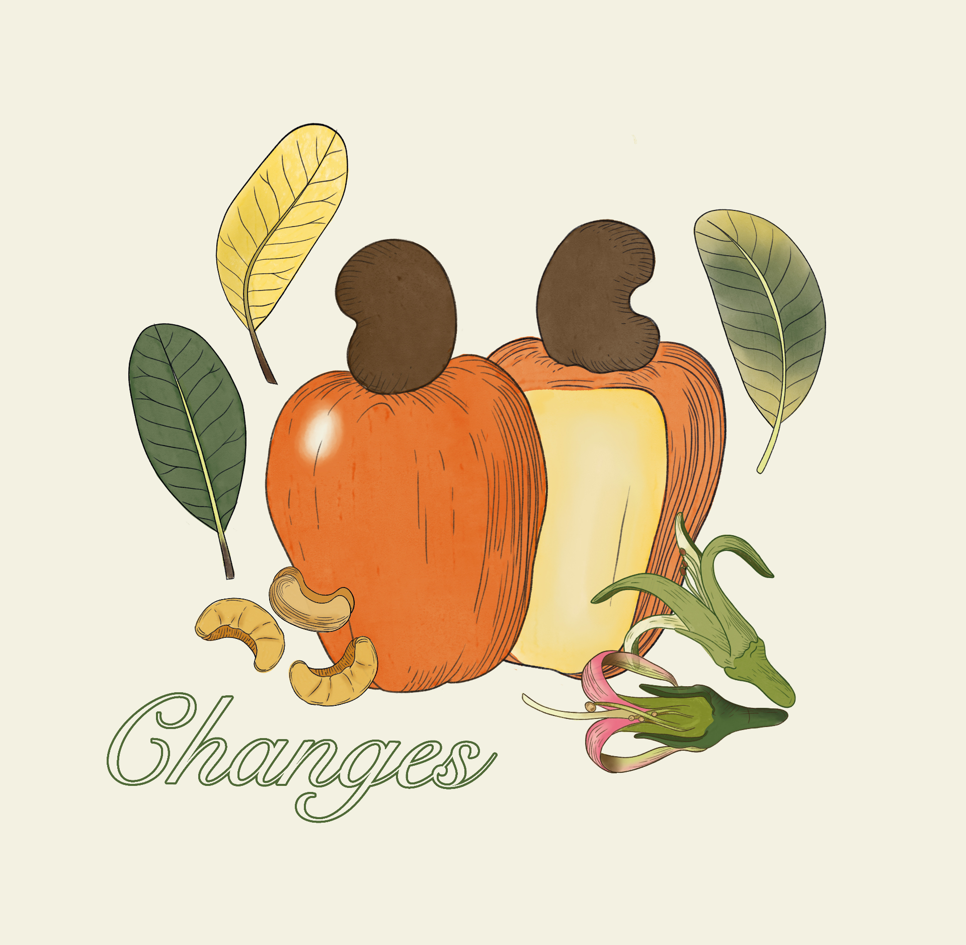 Changes — Cashew